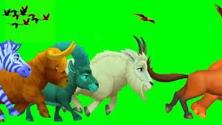 green screen animals stampede || animals stampede green screen || animal stampede | animals stampede