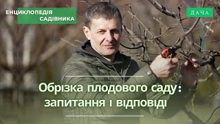 Обрізка Плодового Саду. Відповіді На Питання. Частина 3. Як Вибрати Саджанець?