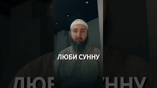 Люби Сунну. 1 часть