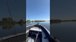 Нижняя Москва Река Рулит!!! #fishing #рыбалка