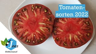 Unsere Tomatensorten 2022 vorgestellt