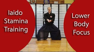 Iaido Stamina!, lower Body