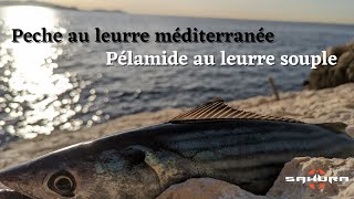 Un lancer un poisson (11) - Bonite à dos rayé au leurre souple !