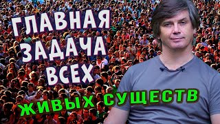 Жизненная устойчивость | Главная задача всех живых существ