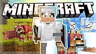 VELIKO POTOVANJE | Minecraft Survival II #8