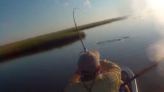 Sight Casting Marsh Redfish| Kayak Fishing