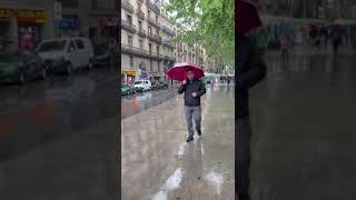 La Rambla - Walking in the Rain #amazing #viral #shorts #barcelona