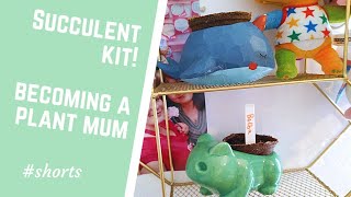 becoming a plant mum! Succulent kit #shorts