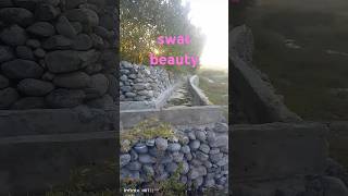 #swatvelly #subscribe #nature