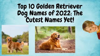 Top 10 Golden Retriever Dog Names of 2022: The Cutest Names Yet!