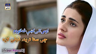 [Slow+Reverb] Os Kali Ki Sa Kaom Chi Sta Trena Doly Laara | Dilraj & Jamshed | YT - Pashto Shine