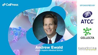 Andrew Ewald answers:  How can we harness the tumor microenvironment to improve cancer therapies?