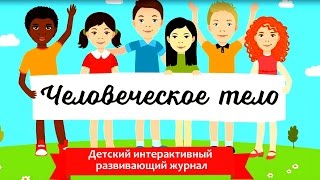 Человеческое Тело | Строение Тела | Мультик Для Детей