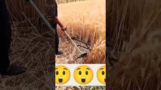 Wheat 🌾 cutting small machine video please subscribe