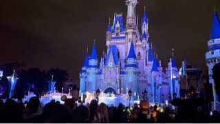 Enchanted Evenings: Disney's Magic Kingdom Christmas Party Extravaganza!