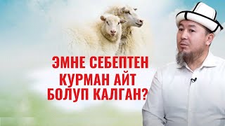 ЭМНЕ СЕБЕПТЕН КУРМАН АЙТ БОЛУП КАЛГАН?