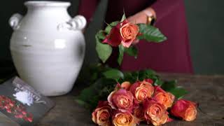 Cherry Brandy Roses and Rose Hip - Subscription Flowers by Arena Flowers