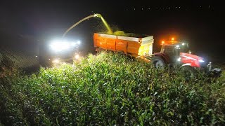 🇫🇷XXL ENSILAGE maïs 2023 nocturne in FRANCE 🌽😍 // une équipe folle 🤩🦌