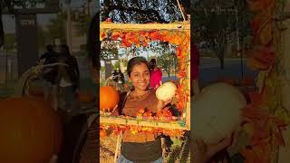 💥Americaல Halloween🎃எப்படி கொண்டாடினோம்💢#shorts #tamilvlog #shortsfeed #youtubeshorts #tamil #usa