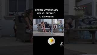 #viral #shorts #fyp #foryou #foryourpage #zadrugainfo #filipcar #balkan #srbija #voice