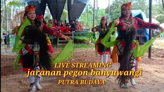 jaranan pegon putra budaya makarti mulya@GALERISUMSEL