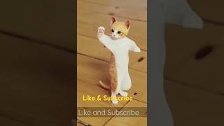 Cat dance #funny #trending #shortsfeed #youtubeshorts #cat #viralshort #viralshortvideo