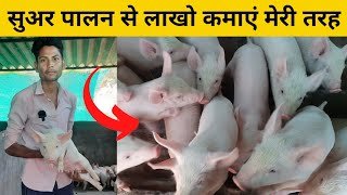 यह युवा 5 सुअर से 🐖 2 लाख से ज्यादा कमाते है डिमांड इतना की पूरा नहीं हो पाता है #pigfarming