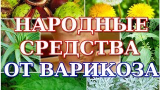 НАРОДНЫЕ СРЕДСТВА ОТ ВАРИКОЗА  КОМПРЕССЫ