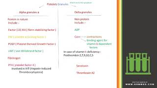 4-Thrombocytes   Platelets 2 1