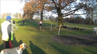 Birmingham & District Cross Country League : Cofton Park (Division 1 / Round 2) 2012 - 2013