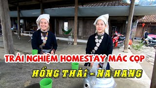 Cùng các cô gái người Dao trải nghiệm homestay Mác Cọp - Hồng Thái Na Hang