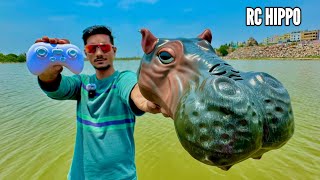 Rc Realistic hippopotamus Unboxing & Testing - Chatpat toy tv