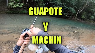 PESCA DE GUAPOTE Y MACHIN EN RIOS PEQUEÑOS.