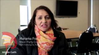 Marama Fox '2015'  -  The Aotearoa / New Zealand Flag Referendums Bill