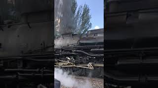 4014 Bigboy Train finally back on tracks