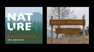 Episode 53: Moely Prairie - In Their Own Words