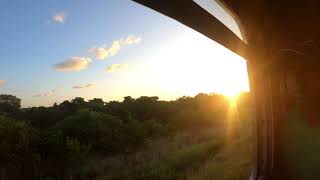 A night  Train passing through Elephant Pass Sri Lanka #shorts