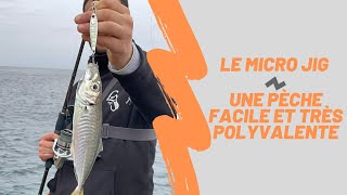 Micro jigging - Une pêche facile et polyvalente [ Sakura | Loujig 20g ]