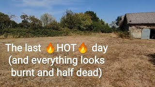 The last 🔥HOT🔥 day (and everything looks burnt and half dead)