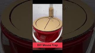 DIY Mouse Trap #shorts #diy #mousetrap #homemade #amazing #mechanismsdesign #tryit #doyoulikeit #fun