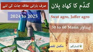 Fertilizer plan of wheat sowing for Barani Areas | Best Production technology for wheat crop arid