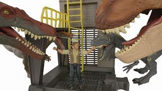 Jurassic Mania!!  Spinosaurus and more Jurassic Park and World Toys!