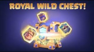 Royal Wild Chest (Worth It?)