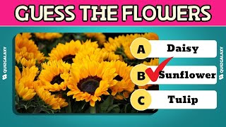 40 Flower Knowledge Test Riddles - Do you know everything about different types of flowers?