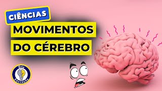 Ciências: Os Movimentos e o Cérebro Humano | Brio Educação