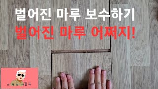 벌어진 마루보수  정말 쉬워요