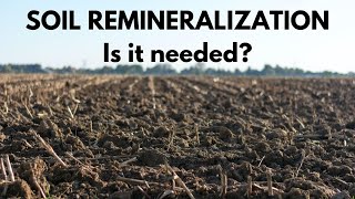 Do You Need to Remineralize Soils? featuring Dr. Elaine Ingham