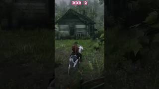 DO YOU NOTICE IN RDR 2 ??