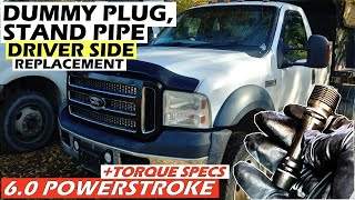 6.0 POWERSTROKE (2004/5-2007): In-Depth DRIVER Side Dummy Plug, Stand Pipe Replacement!