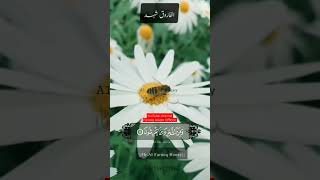 Honey | Tilawat Quran | AL FAROOQ HONEY #honey #tilawatequran #shortsvideo #tranding #video #shorts